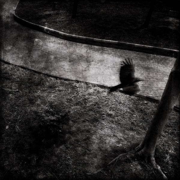 在线手机号接收